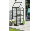 Hornbach Anzuchtschrank dobar Dome groß 56 x 52 x 110 cm anthrazit
