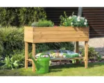 Hornbach Hochbeet auf Stelzen dobar inkl. Ablage 117 x 40 x 80 cm braun