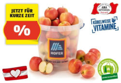 HOFER MARKTPLATZ Äpfel aus Österreich im Kübel, ca. 6 kg