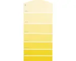 Hornbach Farbmusterkarte B05 Farbwelt gelb 21x10 cm