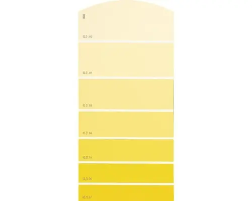 Farbmusterkarte B05 Farbwelt gelb 21x10 cm