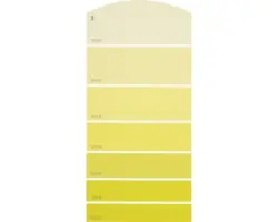Farbmusterkarte B08 Farbwelt gelb 21x10 cm