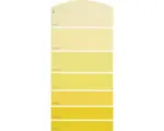 Hornbach Farbmusterkarte B10 Farbwelt gelb 21x10 cm