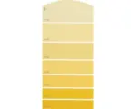 Hornbach Farbmusterkarte B12 Farbwelt gelb 21x10 cm