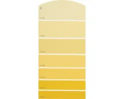 Farbmusterkarte B12 Farbwelt gelb 21x10 cm