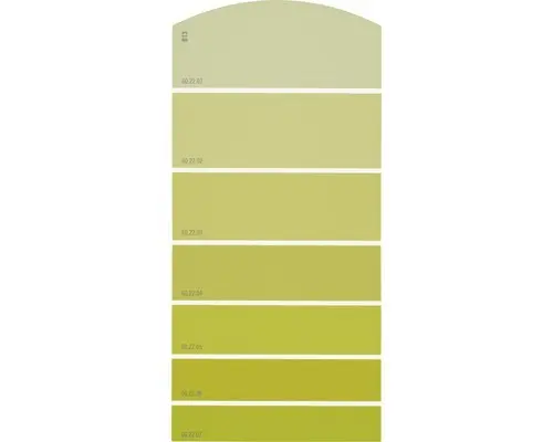 Farbmusterkarte B13 Farbwelt gelb 21x10 cm