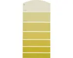 Hornbach Farbmusterkarte B15 Farbwelt gelb 21x10 cm