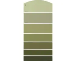 Farbmusterkarte B25 Farbwelt gelb 21x10 cm