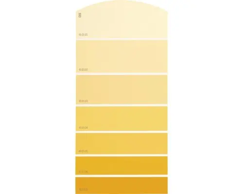 Farbmusterkarte C03 Farbwelt orange 21x10 cm