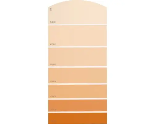 Farbmusterkarte C06 Farbwelt orange 21x10 cm