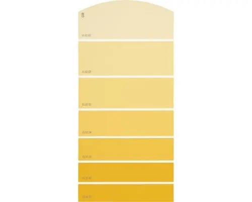 Farbmusterkarte C08 Farbwelt orange 21x10 cm