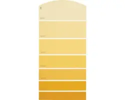 Farbmusterkarte C09 Farbwelt orange 21x10 cm