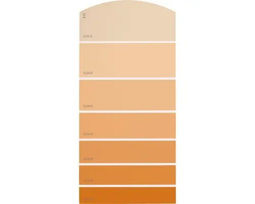 Farbmusterkarte C12 Farbwelt orange 21x10 cm