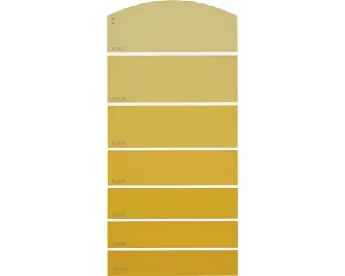 Farbmusterkarte C13 Farbwelt orange 21x10 cm