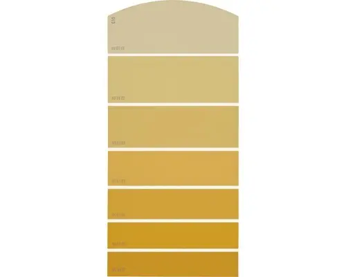 Farbmusterkarte C15 Farbwelt orange 21x10 cm