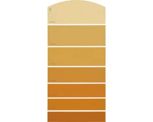 Farbmusterkarte C16 Farbwelt orange 21x10 cm