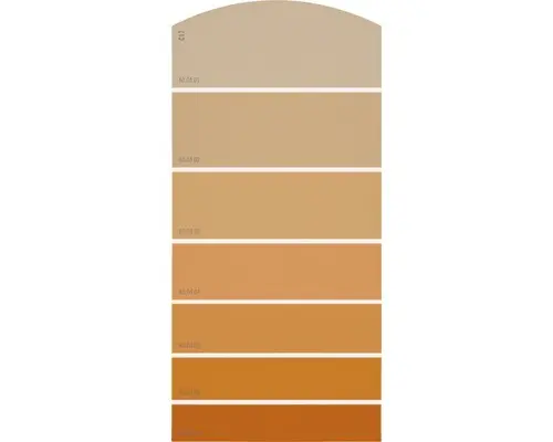 Farbmusterkarte C17 Farbwelt orange 21x10 cm