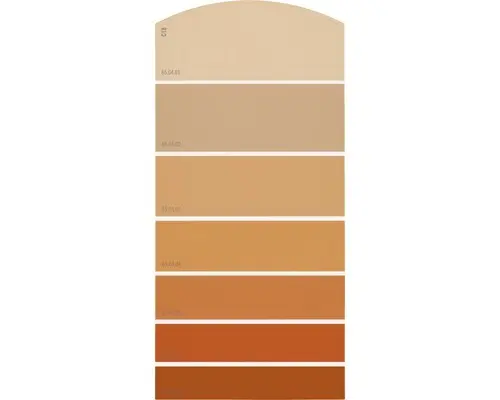 Farbmusterkarte C18 Farbwelt orange 21x10 cm