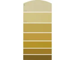 Farbmusterkarte C19 Farbwelt orange 21x10 cm