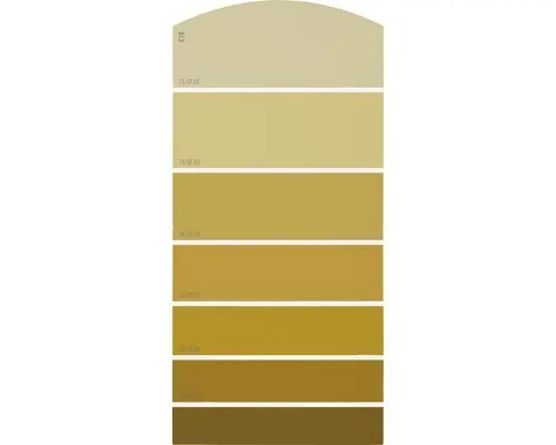 Farbmusterkarte C19 Farbwelt orange 21x10 cm