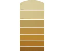 Farbmusterkarte C20 Farbwelt orange 21x10 cm