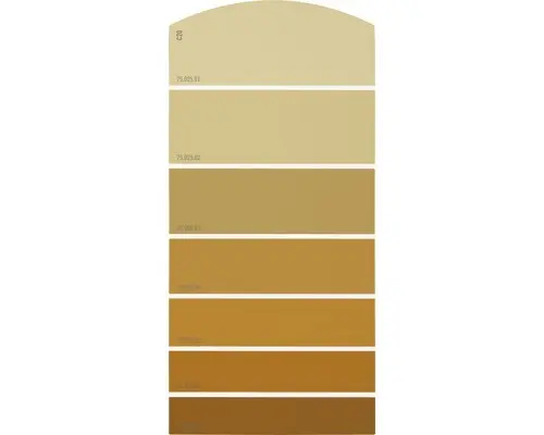 Farbmusterkarte C20 Farbwelt orange 21x10 cm