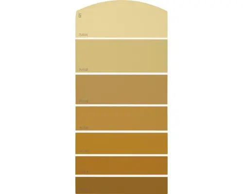 Farbmusterkarte C21 Farbwelt orange 21x10 cm