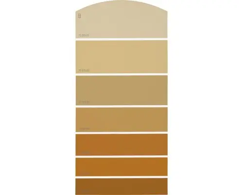 Farbmusterkarte C22 Farbwelt orange 21x10 cm