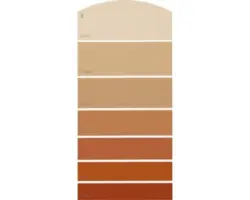 Farbmusterkarte C24 Farbwelt orange 21x10 cm