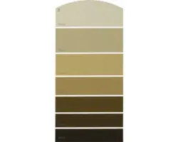 Farbmusterkarte C25 Farbwelt orange 21x10 cm