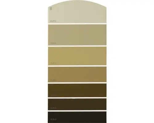 Farbmusterkarte C25 Farbwelt orange 21x10 cm