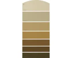 Farbmusterkarte C26 Farbwelt orange 21x10 cm