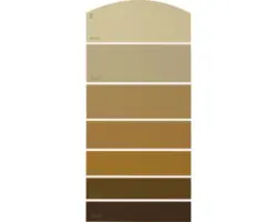 Farbmusterkarte C27 Farbwelt orange 21x10 cm