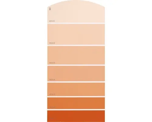 Farbmusterkarte D01 Farbwelt rot 21x10 cm