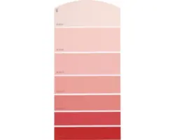 Farbmusterkarte D03 Farbwelt rot 21x10 cm