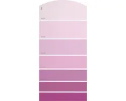 Farbmusterkarte D06 Farbwelt rot 21x10 cm