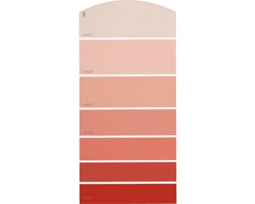 Farbmusterkarte D08 Farbwelt rot 21x10 cm