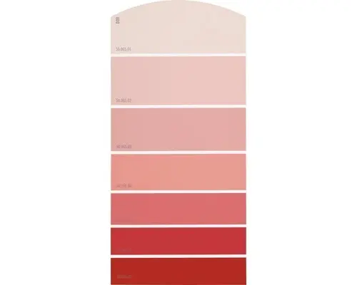 Farbmusterkarte D09 Farbwelt rot 21x10 cm