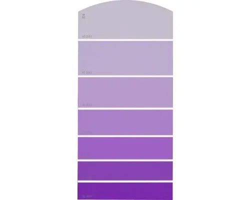 Farbmusterkarte E14 Farbwelt lila 21x10 cm