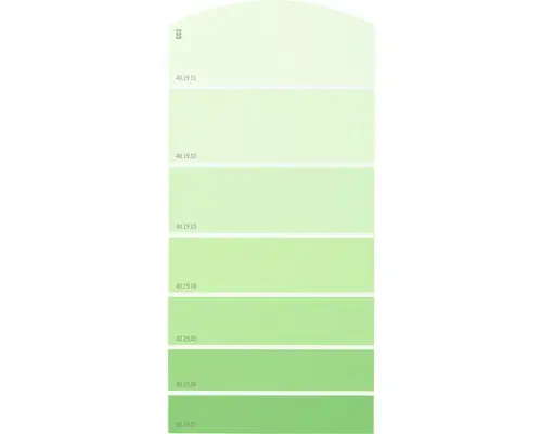 Farbmusterkarte G03 Farbwelt grün 21x10 cm