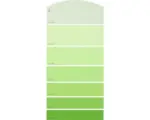 Hornbach Farbmusterkarte G10 Farbwelt grün 21x10 cm