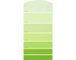 Hornbach Farbmusterkarte G11 Farbwelt grün 21x10 cm