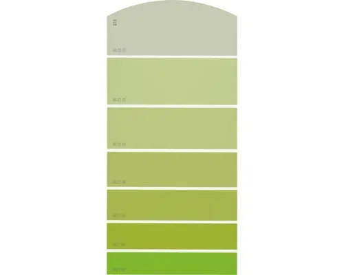 Farbmusterkarte G18 Farbwelt grün 21x10 cm