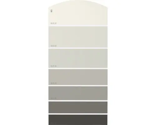 Farbmusterkarte H01 Farbwelt grau 21x10 cm