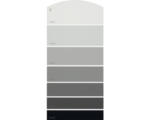 Hornbach Farbmusterkarte H18 Farbwelt grau 21x10 cm