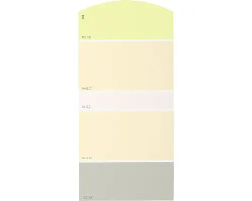 Farbmusterkarte J04 Farben für Körper, Geist & Seele - wohltuend & heilend 21x10 cm