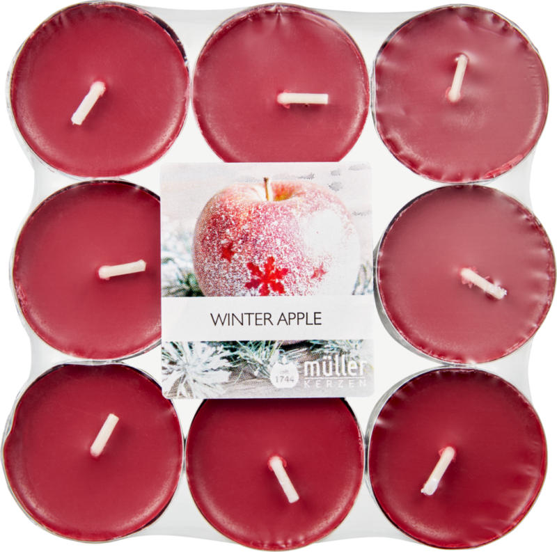Müller Kerzen Weihnachts-Duft-Teelichter Vanilla Dream, crema, 9 pezzi