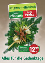 Pflanzen Hanisch: beste Pflanzen. beste Preise
