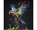 Hornbach Glasbild Colorful Ara 50x50 cm