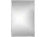 Hornbach Rahmenspiegel Cordia BRW LINE eckig 65x60 cm mit Alurahmen silber